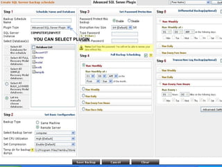 YOU CAN SELECT PLUGIN 
