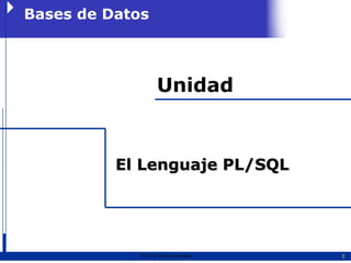 Bases de Datos



                   Unidad



          El Lenguaje PL/SQL




            2011   Erwin Fischer   2
 