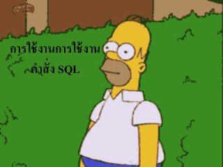 การใช้งานการใช้งาน
คาสั่ง SQL
 