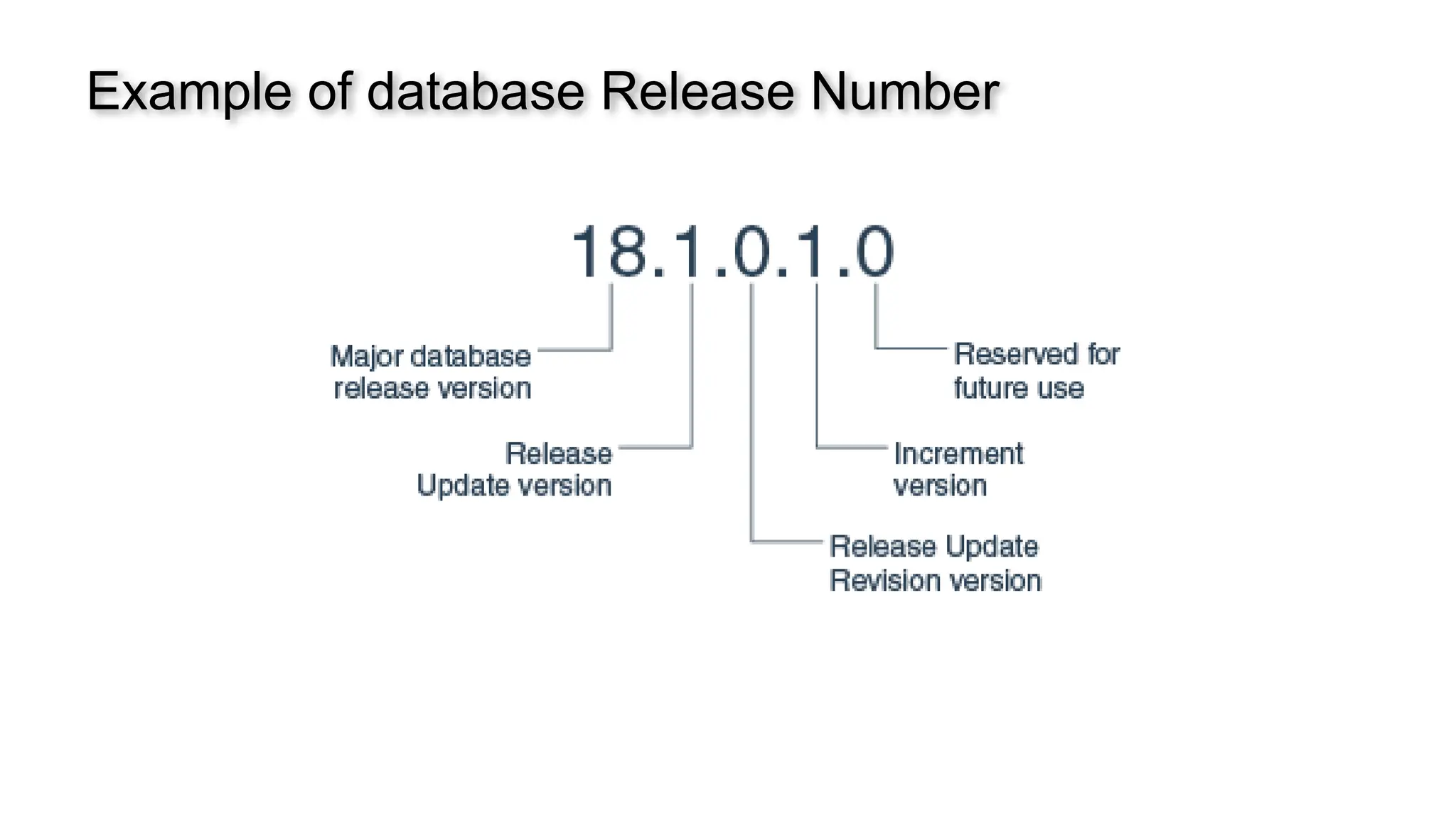 Example of database Release Number 
