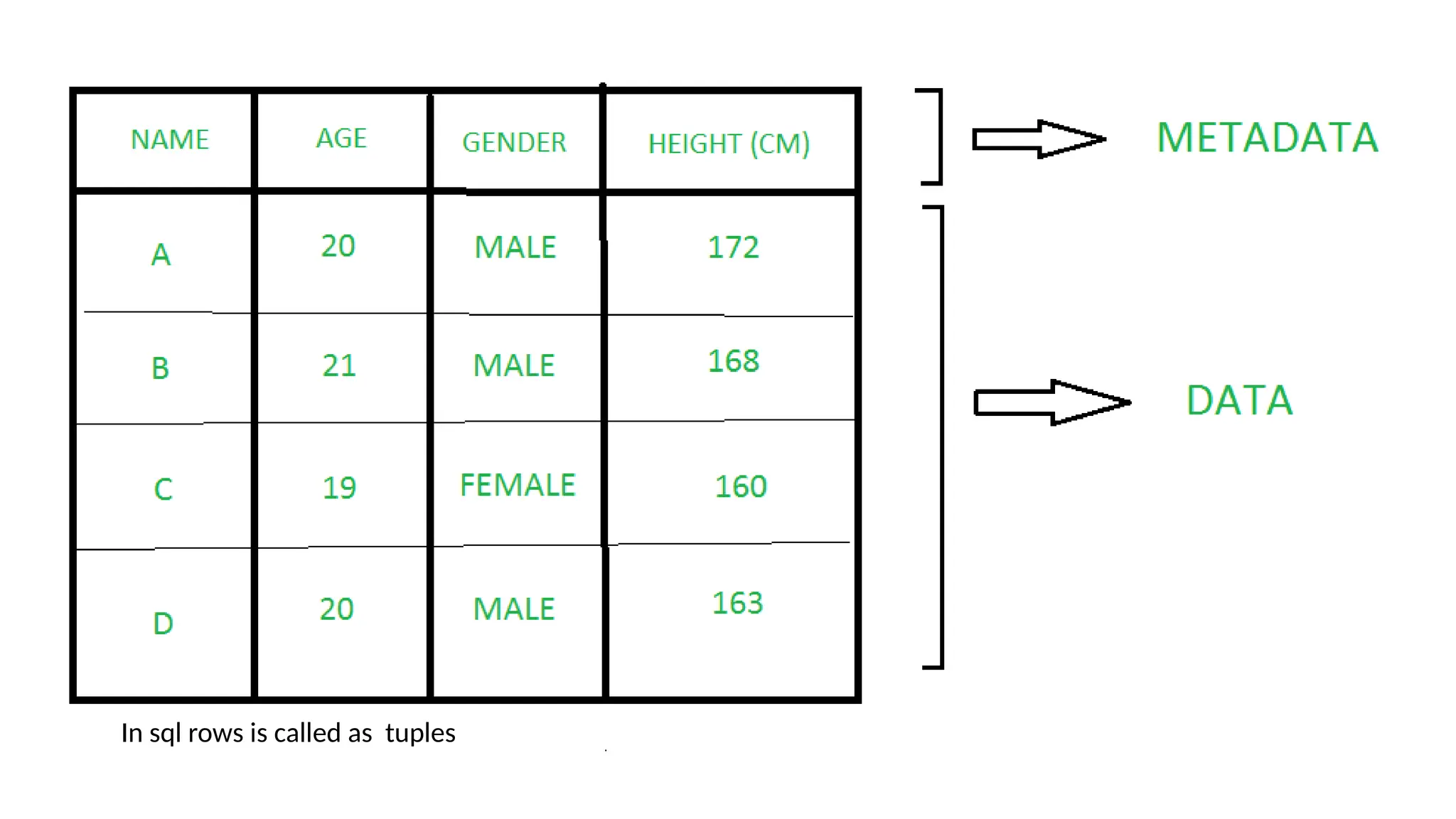 In sql rows is called as tuples 