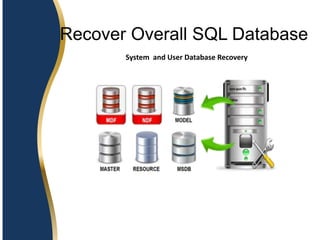 SQL Database Recovery Tool | PPT