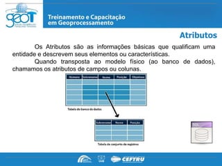 Atributos
        Os Atributos são as informações básicas que qualificam uma
entidade e descrevem seus elementos ou características.
        Quando transposta ao modelo físico (ao banco de dados),
chamamos os atributos de campos ou colunas.
 