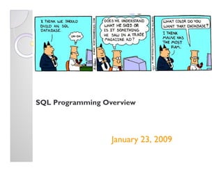 SQL Programming Overview
January 23, 2009
 