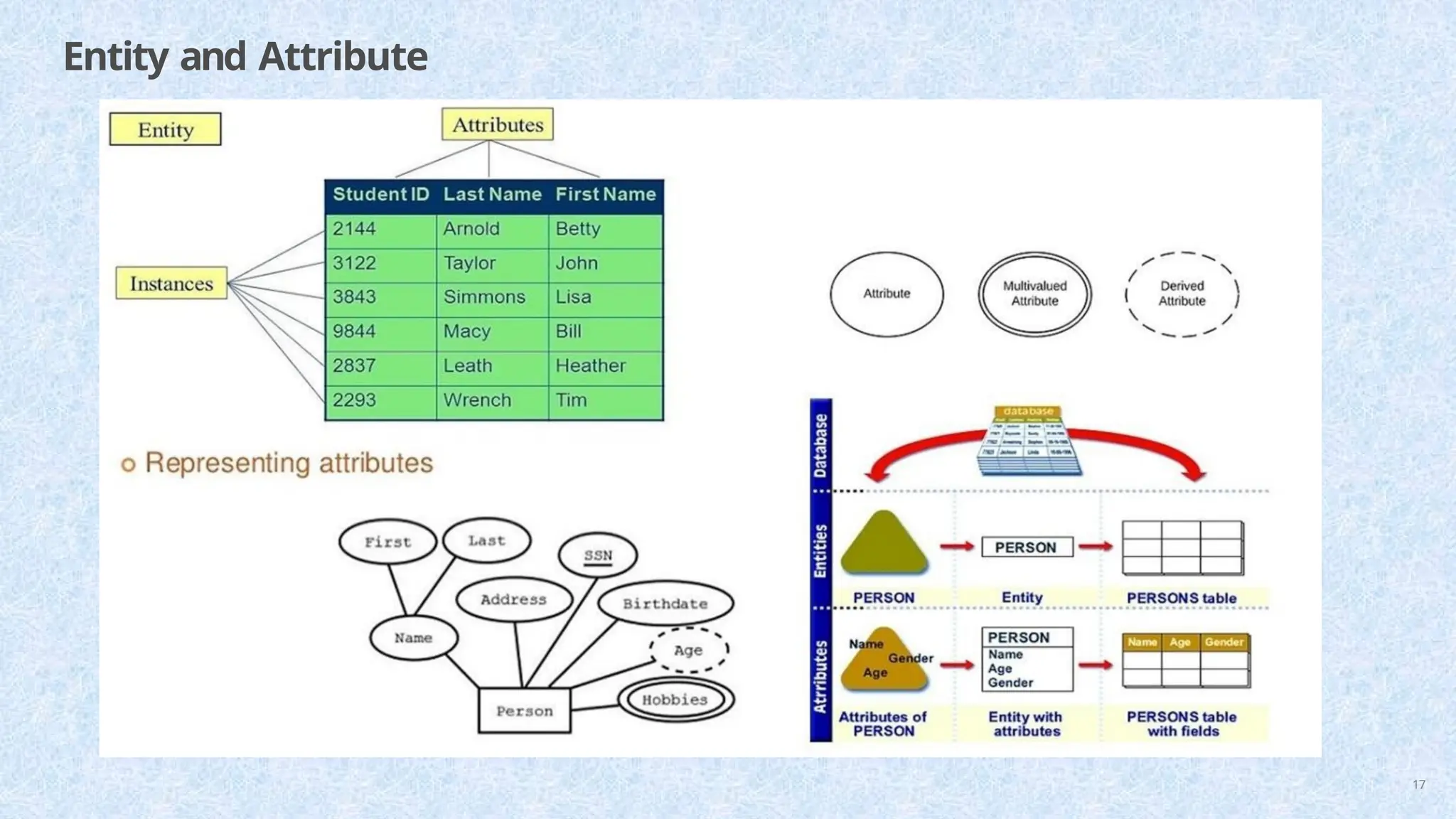 Entity and Attribute
17
 