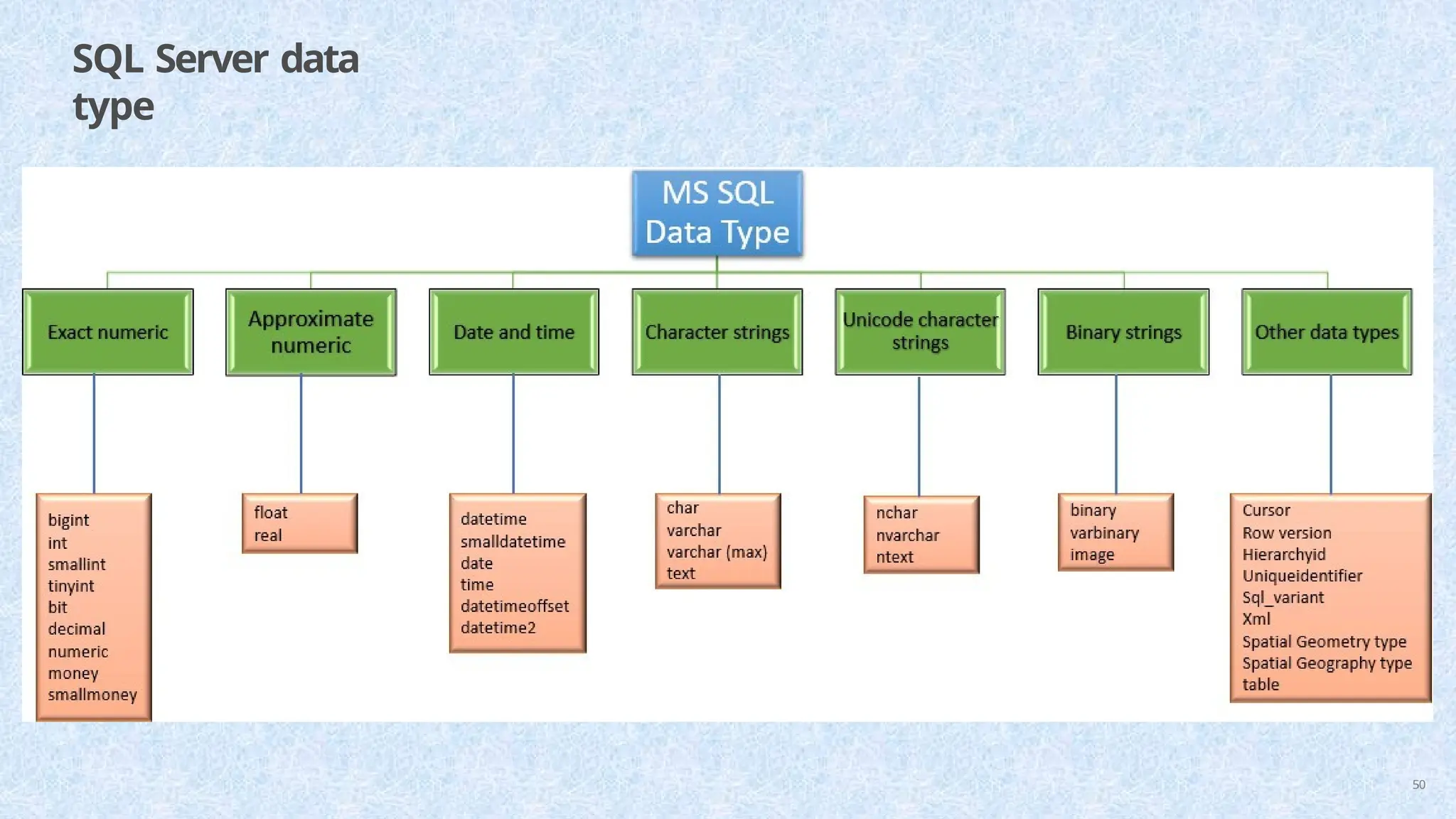 SQL Server data
type
50
 