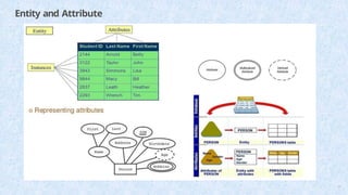Entity and Attribute
17
 