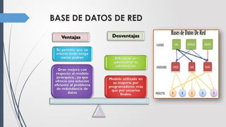 BASE DE DATOS DE RED
 