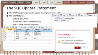 SQL PRESENTATION HSJEHAISNJWKEJSJABAHJAJDHIS | PPTX