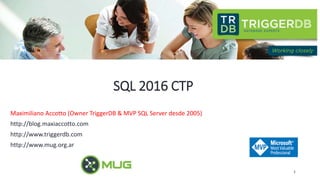 SQL 2016 CTP
Maximiliano Accotto (Owner TriggerDB & MVP SQL Server desde 2005)
http://blog.maxiaccotto.com
http://www.triggerdb.com
http://www.mug.org.ar
1
 