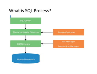 Comprehensive Introduction to SQL: Basics, Commands, and Processes | PDF