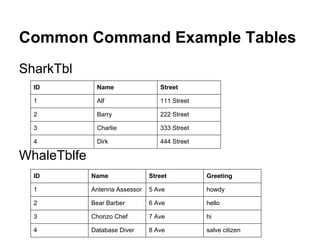 Common Command Example Tables
SharkTbl
  ID          Name                 Street

  1           Alf                  111 Street

  2           Barry                222 Street

  3           Charlie              333 Street

  4           Dirk                 444 Street

WhaleTblfe
  ID         Name               Street          Greeting

  1          Antenna Assessor   5 Ave           howdy

  2          Bear Barber        6 Ave           hello

  3          Chorizo Chef       7 Ave           hi

  4          Database Diver     8 Ave           salve citizen
 