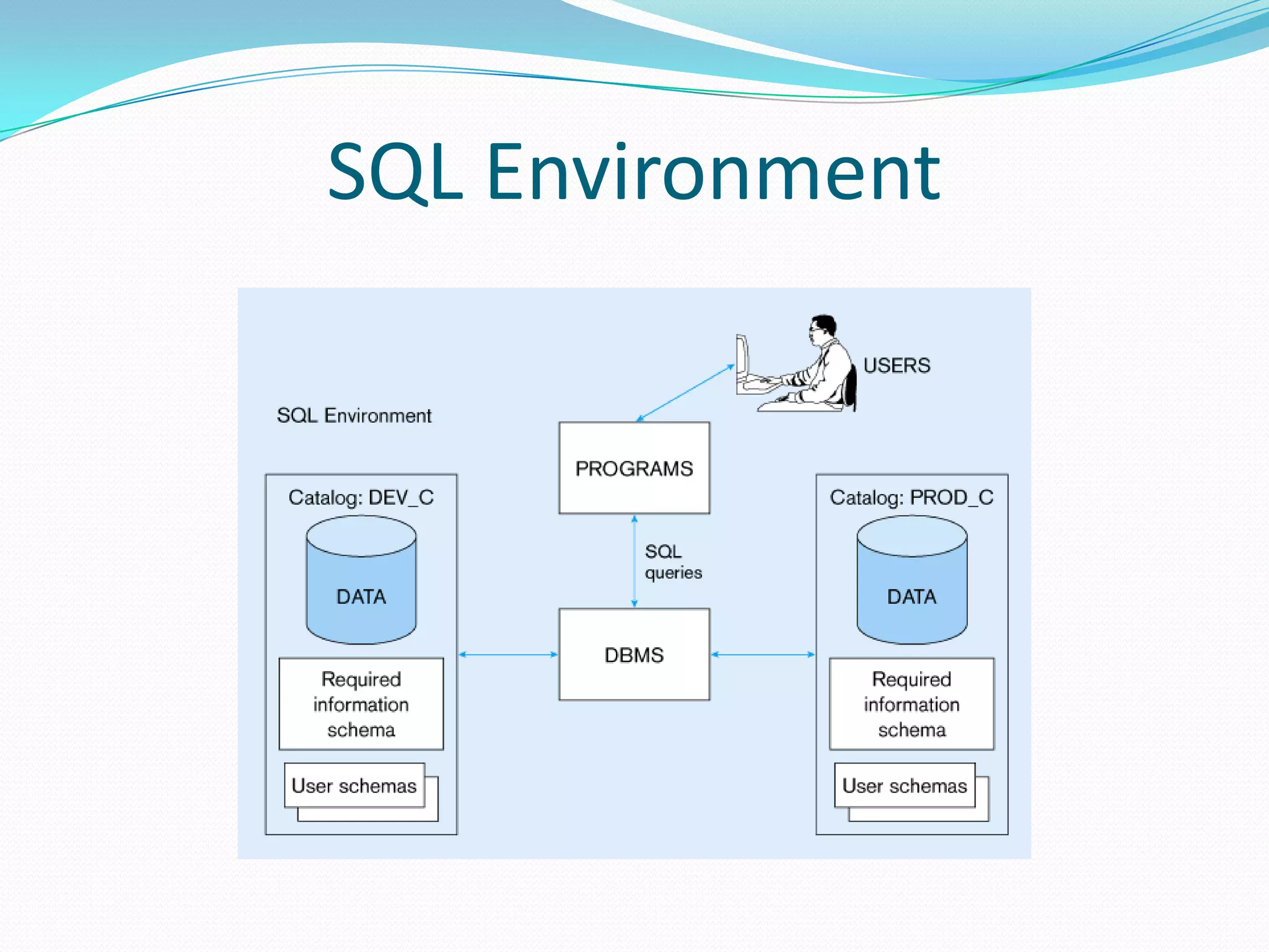 SQL Environment

 
