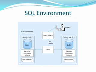 SQL Environment

 