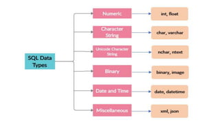 sql datatypes.pptx