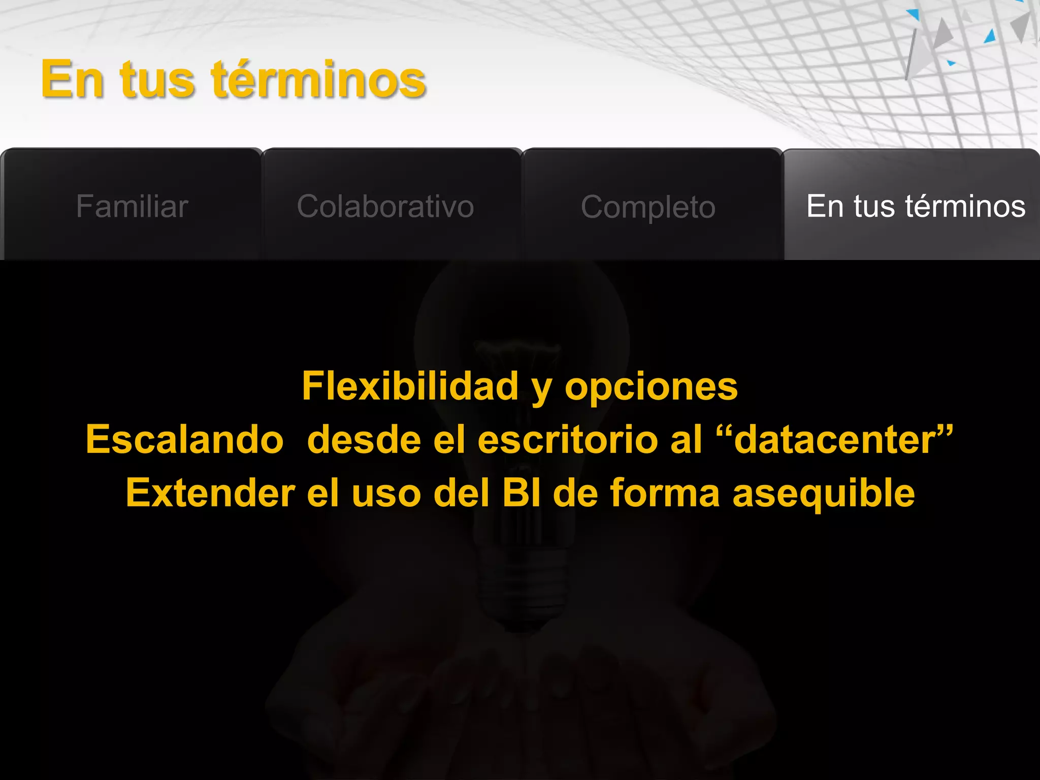 En tus términos




           Flexibilidad y opciones
 Escalando desde el escritorio al “datacenter”
   Extender el uso del BI de forma asequible
 