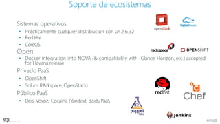 Sistemas operativos
• Prácticamente cualquier distribución con un 2.6.32
• Red Hat
• CoreOS
Open
• Docker integration into NOVA (& compatibility with Glance, Horizon, etc.) accepted
for Havana release
Privado PaaS
• OpenShift
• Solum RAckspace, OpenStack)
Público PaaS
• Deis, Voxoz, Cocaína (Yandex), BaiduPaaS
Soporte de ecosistemas
 