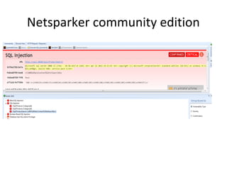 Netsparker community edition

 