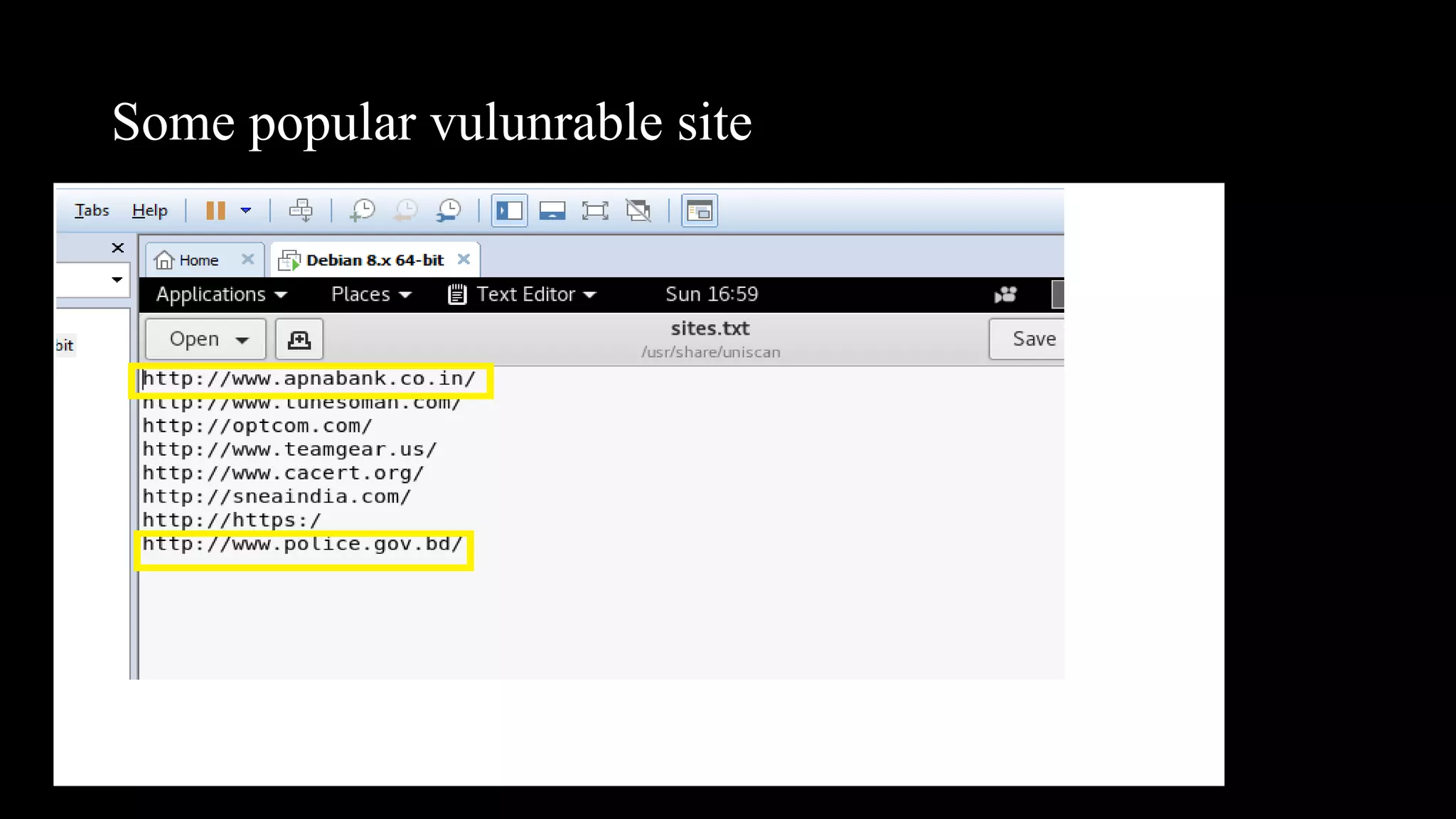 Some popular vulunrable site
 