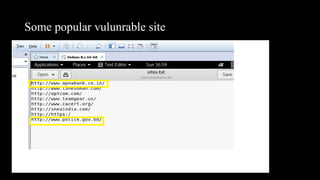 Some popular vulunrable site
 