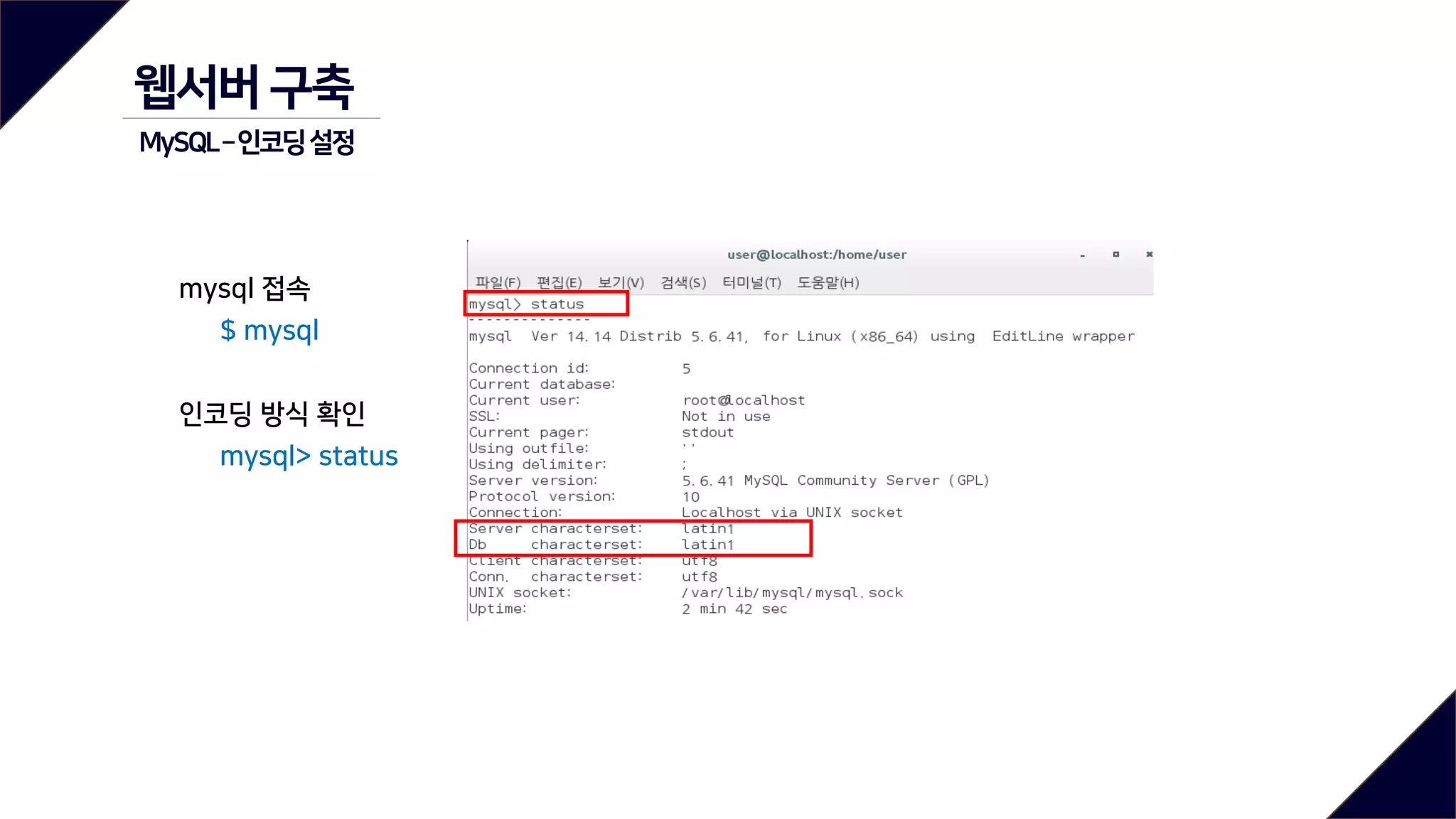 mysql 접속
$ mysql
인코딩 방식 확인
mysql> status
웹서버 구축
MySQL–인코딩설정
 