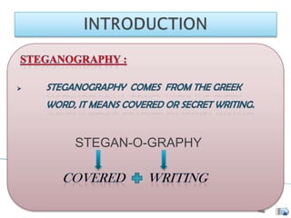 STEGAN-O-GRAPHY
 