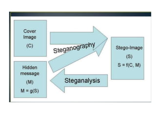 SQL Injection Stegnography  in Pen Testing