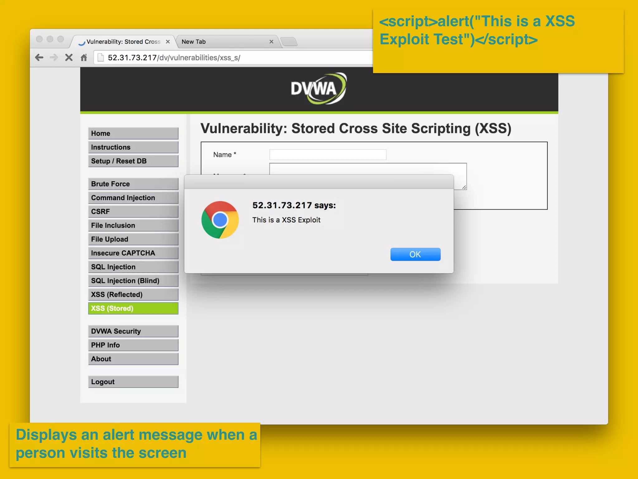 <script>alert("This is a XSS
Exploit Test")</script>
Displays an alert message when a
person visits the screen
 