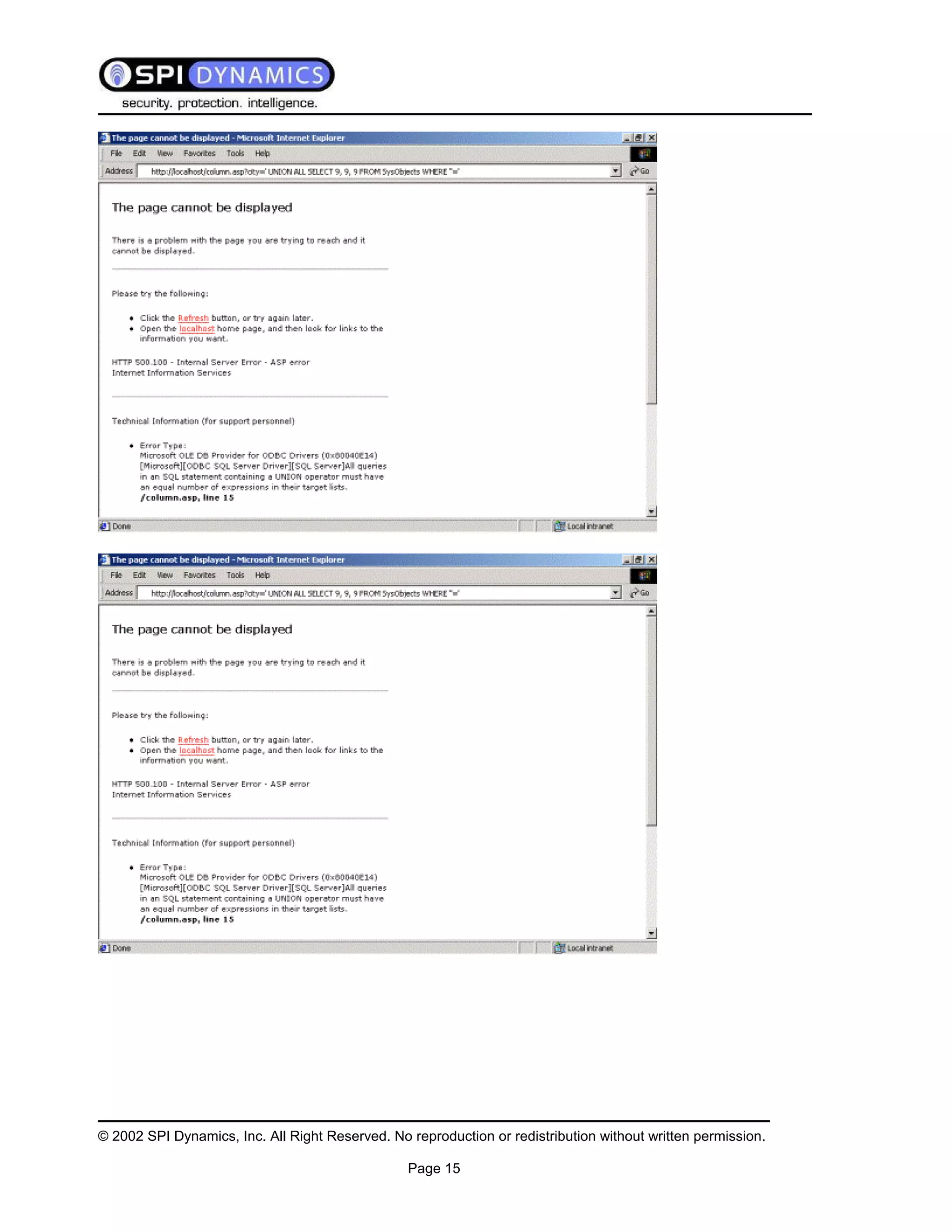 Sql Injection White Paper