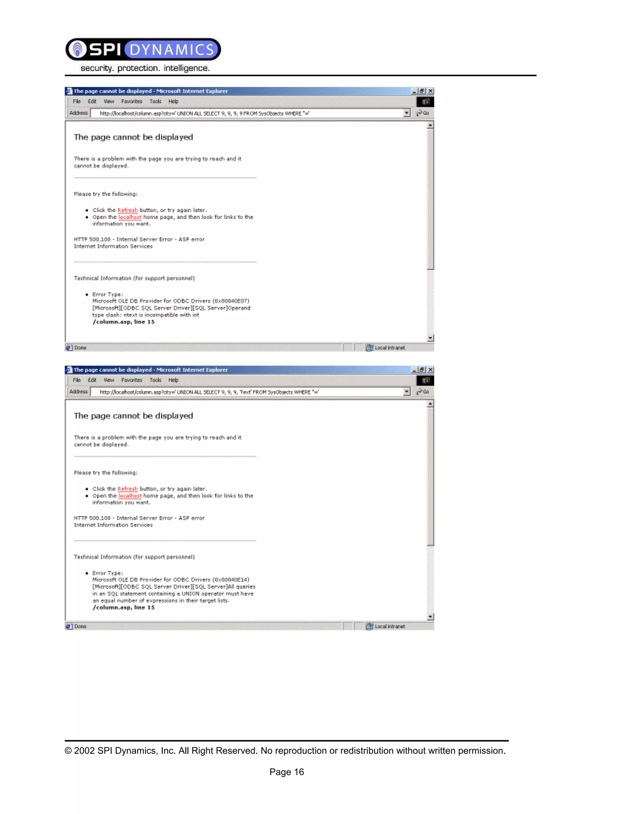 Sql Injection White Paper