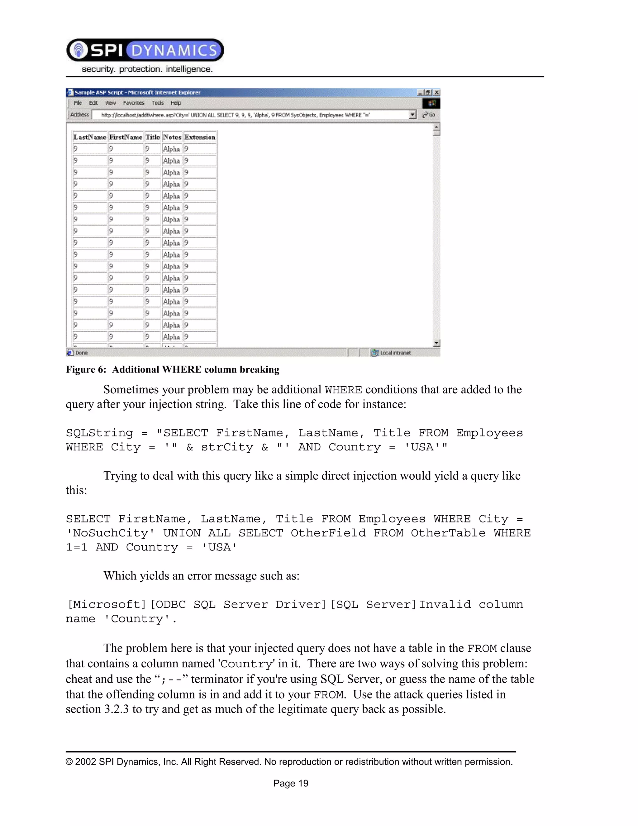 Sql Injection White Paper