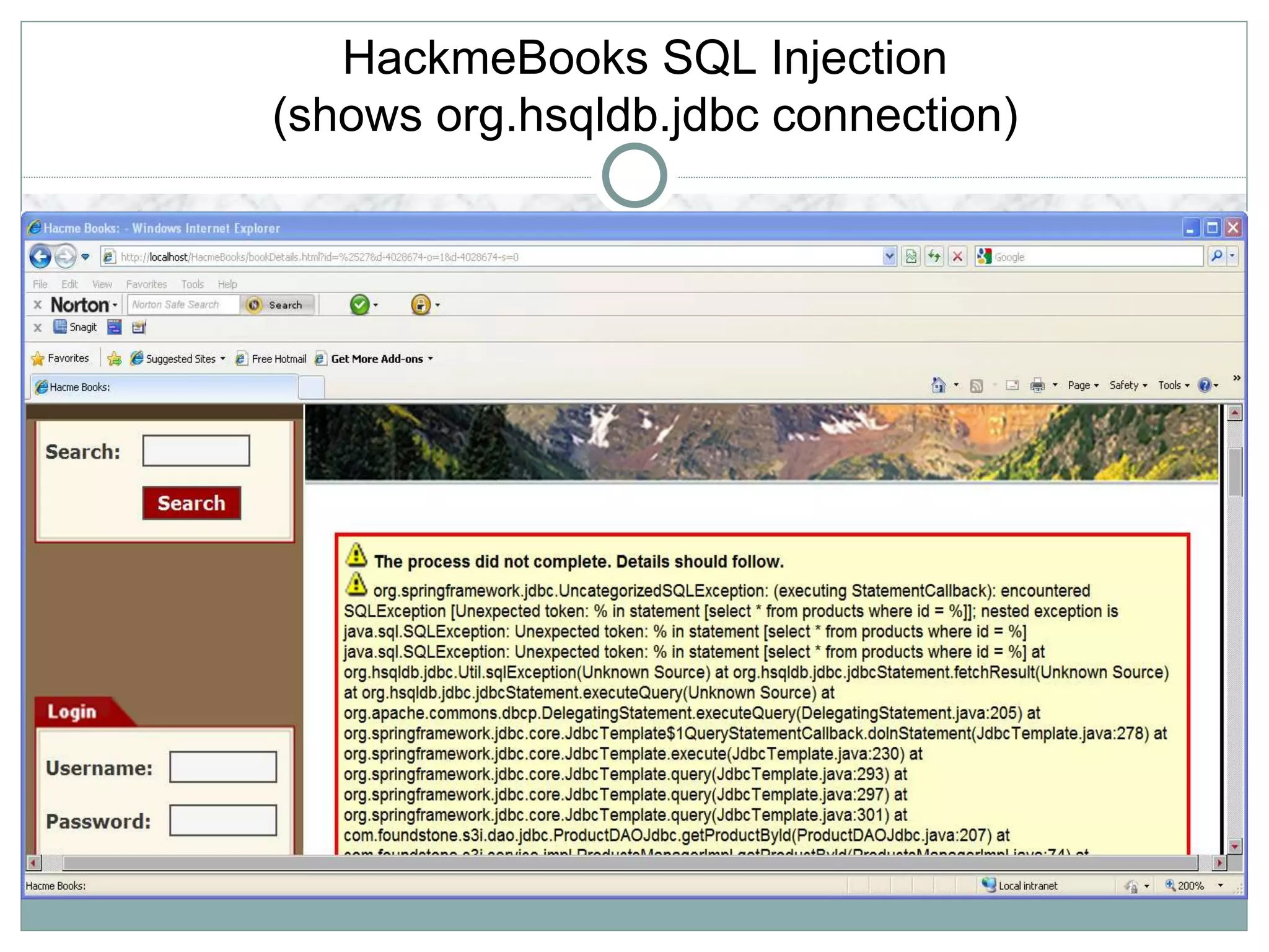 HackmeBooks SQL Injection
(shows org.hsqldb.jdbc connection)
 