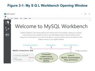 Figure 3-1: My S Q L Workbench Opening Window
 