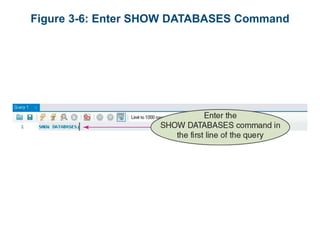 Figure 3-6: Enter SHOW DATABASES Command
 