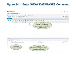 Figure 3-11: Enter SHOW DATABASES Command
 