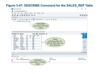 Figure 3-47: DESCRIBE Command for the SALES_REP Table
 