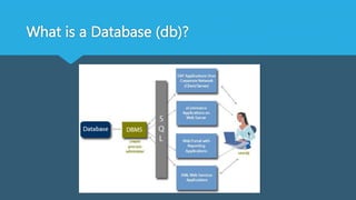 What is a Database (db)?
 