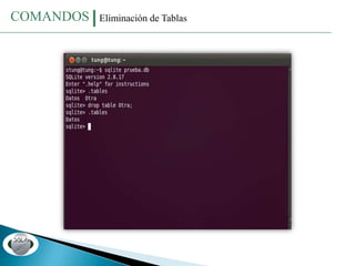 Sqlite Base de Datos | PPTX