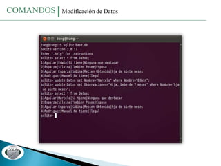 Sqlite Base de Datos | PPTX