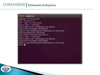 Sqlite Base de Datos | PPTX