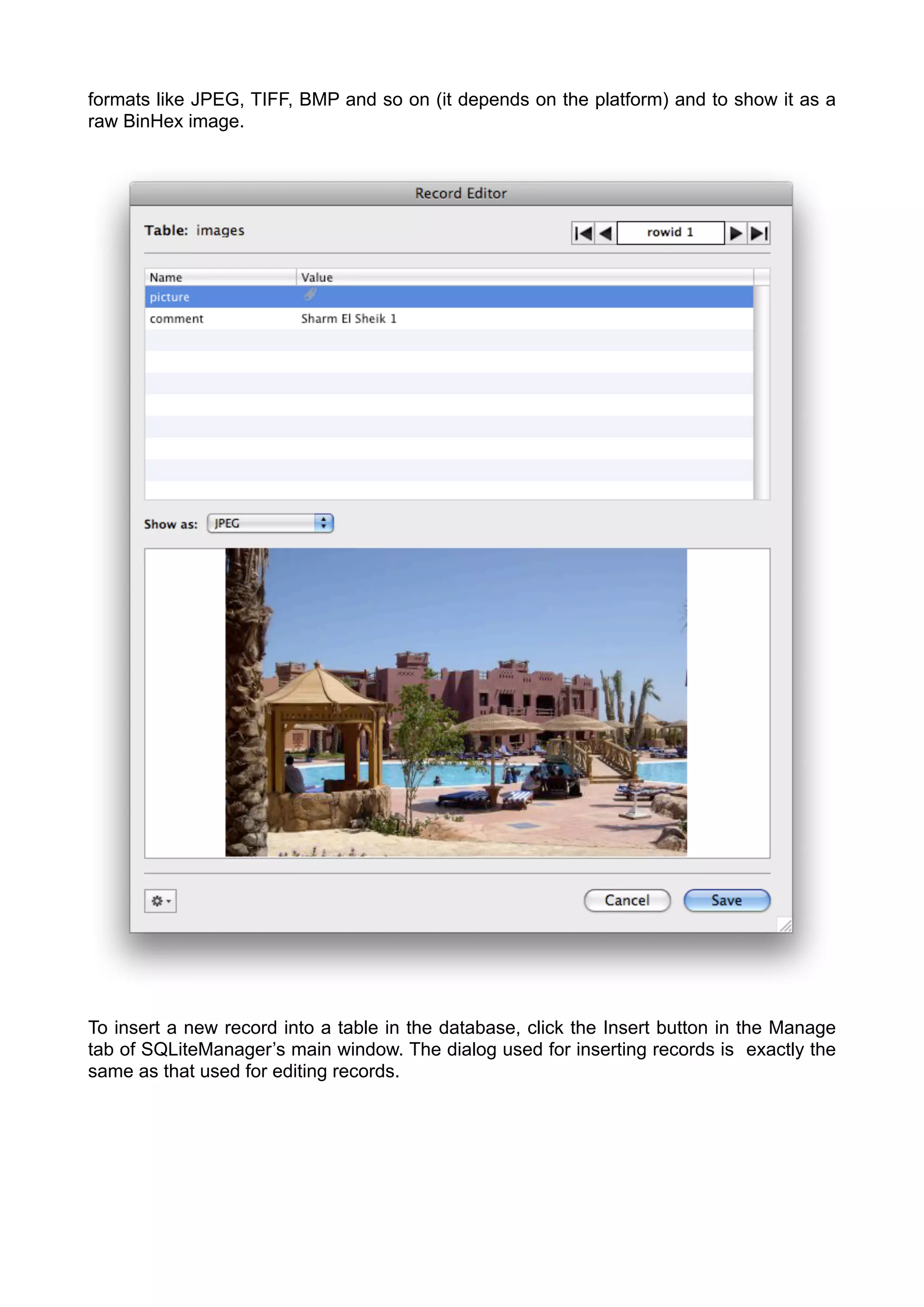 formats like JPEG, TIFF, BMP and so on (it depends on the platform) and to show it as a
raw BinHex image.
To insert a new record into a table in the database, click the Insert button in the Manage
tab of SQLiteManager’s main window. The dialog used for inserting records is exactly the
same as that used for editing records.
 
