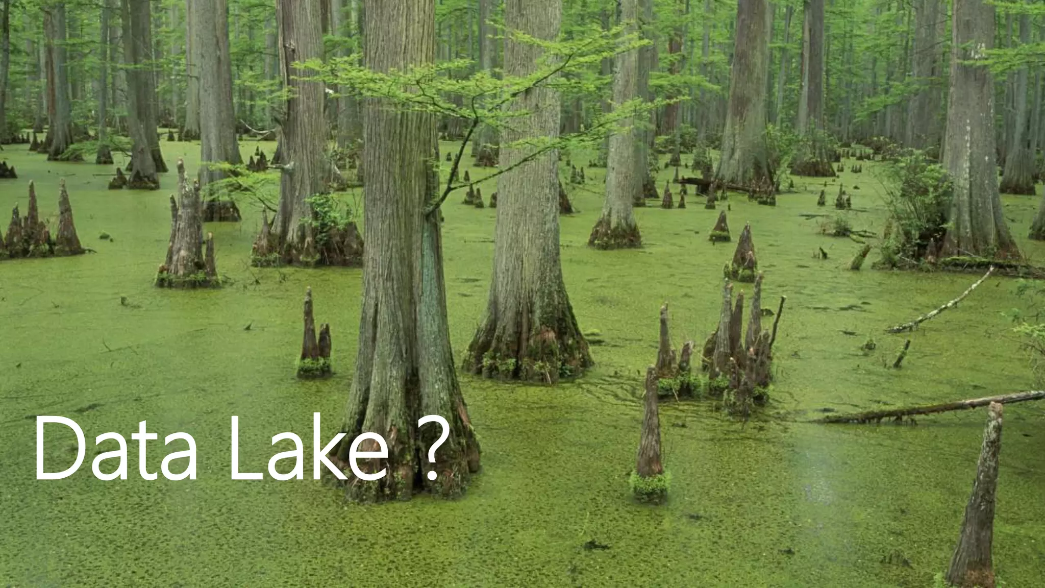 Data Lake ?
 