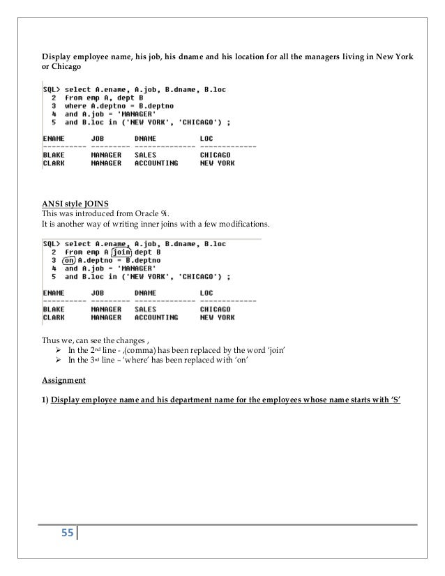 public service essay holidays