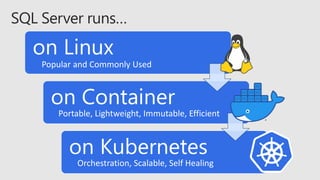 Sql Kubernets Databases SQL Server コンテナ入門(Kubernetes編) | PDF