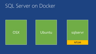 SQL Server on Docker
OSX Ubuntu sqlservr
NTUM
 
