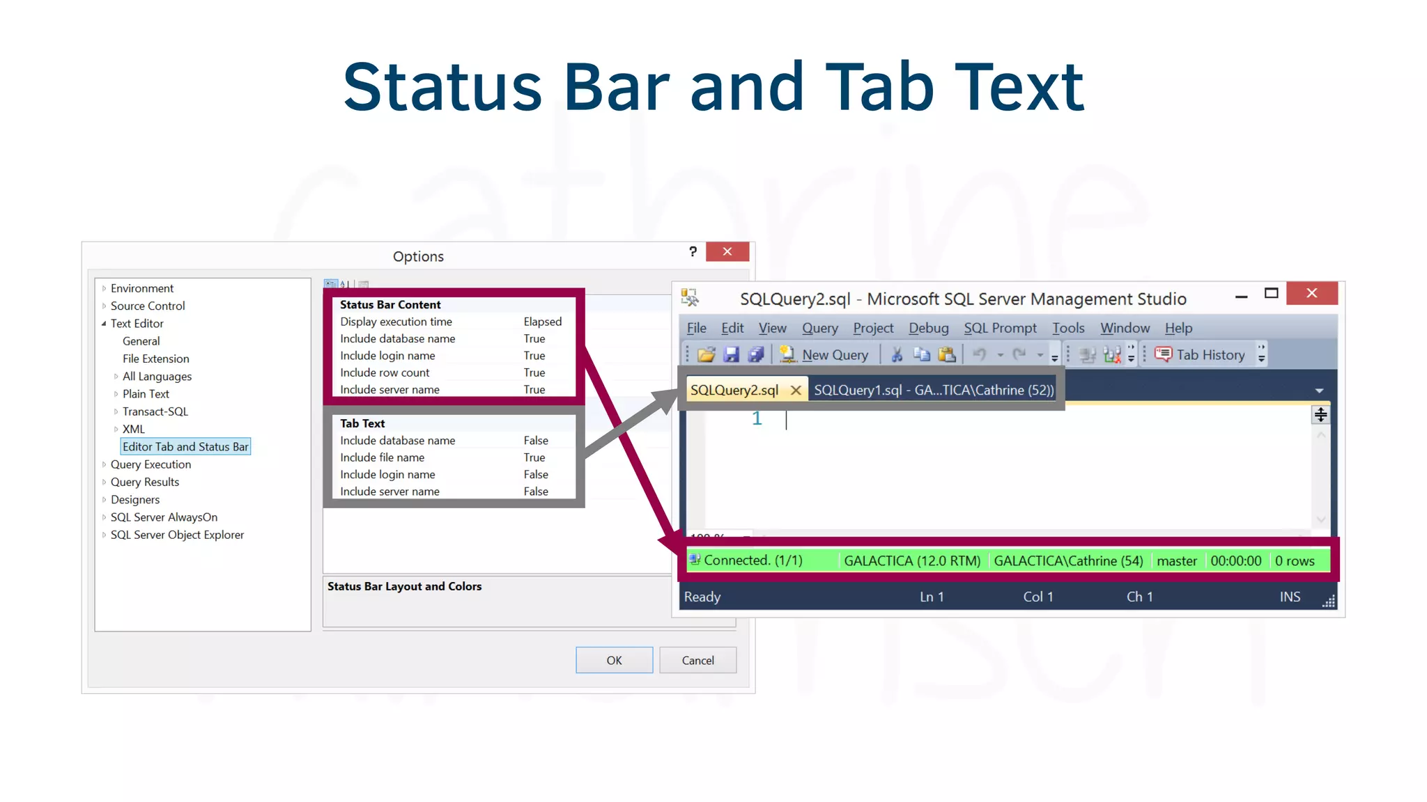 Status Bar and Tab Text
 