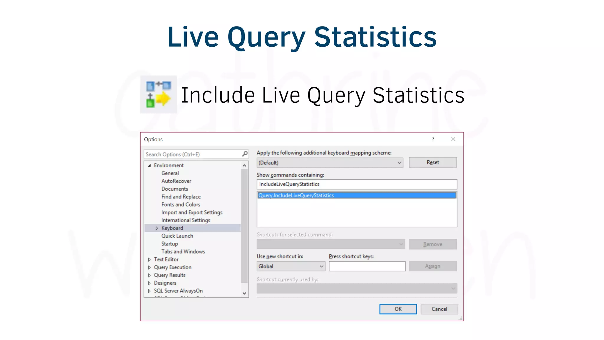 Live Query Statistics
Include Live Query Statistics
 