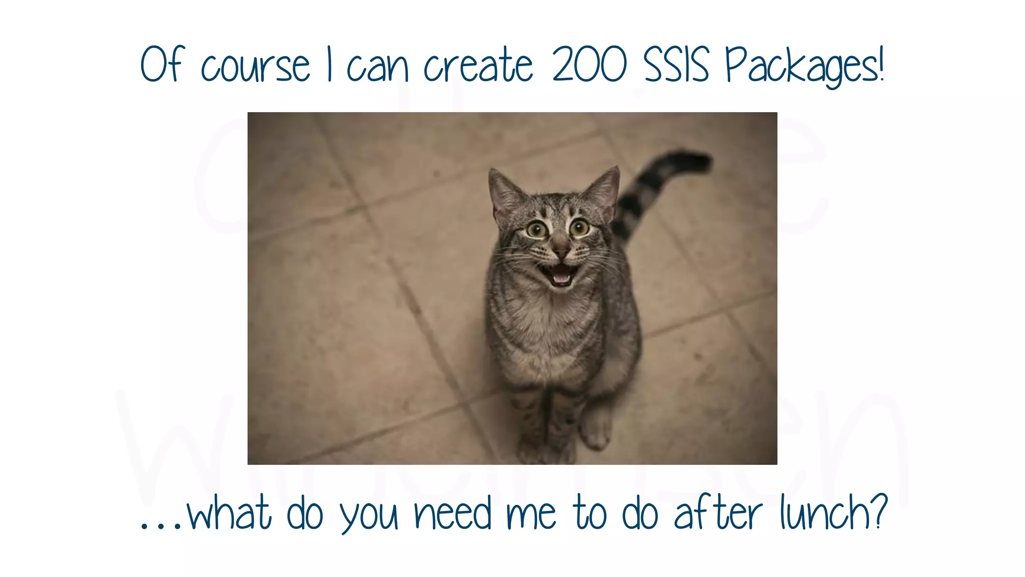 …what do you need me to do after lunch?
Of course I can create 200 SSIS Packages!
 