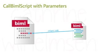 CallBimlScript with Parameters
 